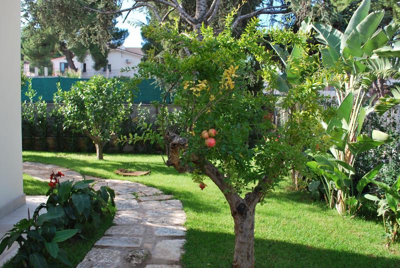 No Tag Urban Hotel Trani Dış mekan fotoğraf